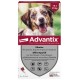 ADVANTIX CANI 6 PIP 10-25KG