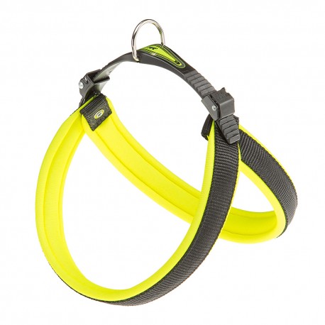 AGILA FLUO 9 GIALLO PETTORINA