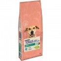 TONUS DOG LIGHT TACCHINO 14KG