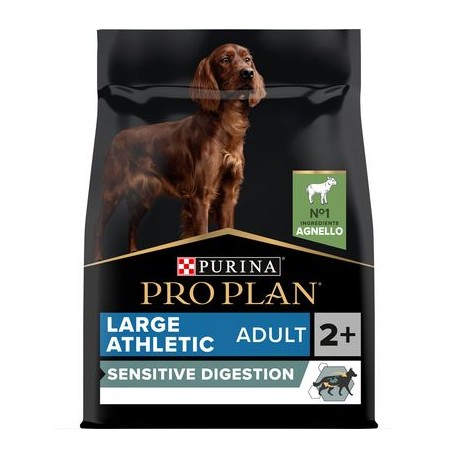 PUPPY LARGE ATLETIC AGNELLO 12KG