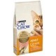 CAT CHOW SALMONE 10KG